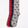 Geschenkset mit Fasanensocken