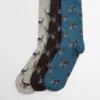 Pointer Dog Socken Geschenkbox