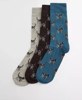 Pointer Dog Socken Geschenkbox