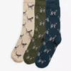 Pointer Dog Socken Geschenkbox