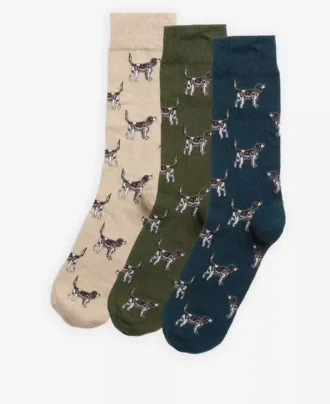 Pointer Dog Socken Geschenkbox