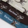 Pointer Dog Socken Geschenkbox