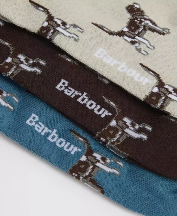 Pointer Dog Socken Geschenkbox